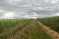 /album/toulky-prirodou/cesta-lucinou-jpg/